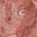Load image into Gallery viewer, Honey Gloss Lip Gloss