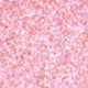 Load image into Gallery viewer, Body Face Glitter