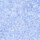 Load image into Gallery viewer, Body Face Glitter